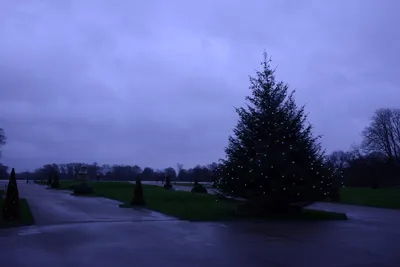 DSC_6189 (Large).JPG